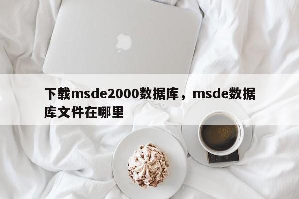 下载msde2000数据库，msde数据库文件在哪里-第1张图片-天览电脑知识网