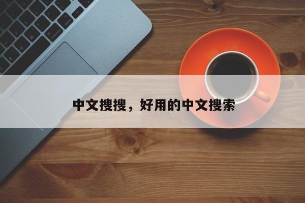中文搜搜，好用的中文搜索-第1张图片-天览电脑知识网