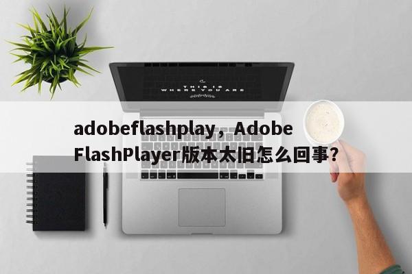 adobeflashplay，AdobeFlashPlayer版本太旧怎么回事？-第1张图片-天览电脑知识网