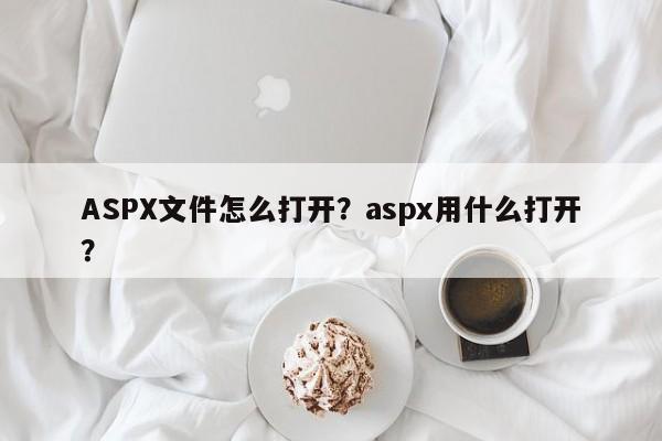 ASPX文件怎么打开？aspx用什么打开？-第1张图片-天览电脑知识网