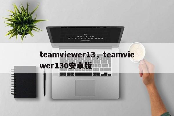 teamviewer13，teamviewer130安卓版-第1张图片-天览电脑知识网