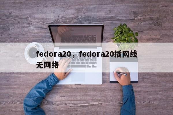 fedora20，fedora20插网线无网络-第1张图片-天览电脑知识网