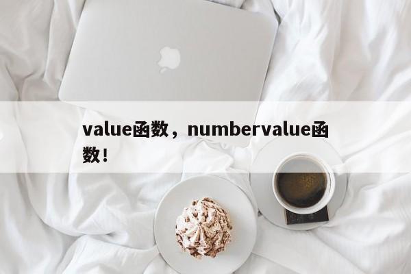 value函数，numbervalue函数！-第1张图片-天览电脑知识网