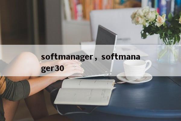 softmanager，softmanager30-第1张图片-天览电脑知识网