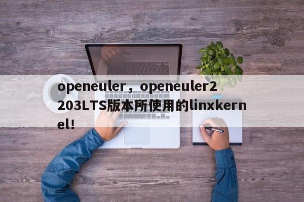 openeuler，openeuler2203LTS版本所使用的linxkernel！-第1张图片-天览电脑知识网