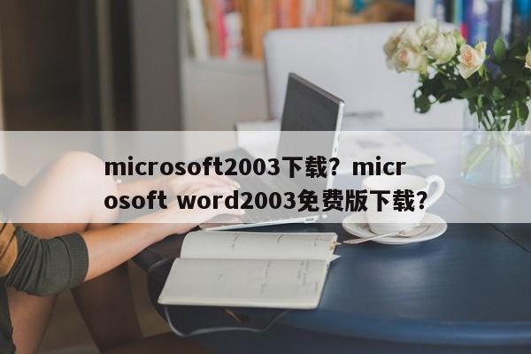 microsoft2003下载？microsoft word2003免费版下载？-第1张图片-天览电脑知识网