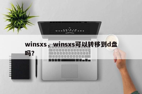 winsxs，winsxs可以转移到d盘吗？-第1张图片-天览电脑知识网