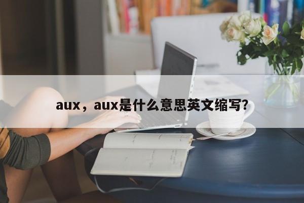 aux，aux是什么意思英文缩写？-第1张图片-天览电脑知识网