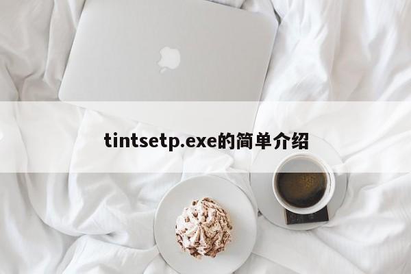 tintsetp.exe的简单介绍-第1张图片-天览电脑知识网