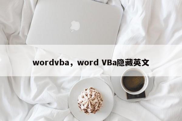 wordvba，word VBa隐藏英文-第1张图片-天览电脑知识网