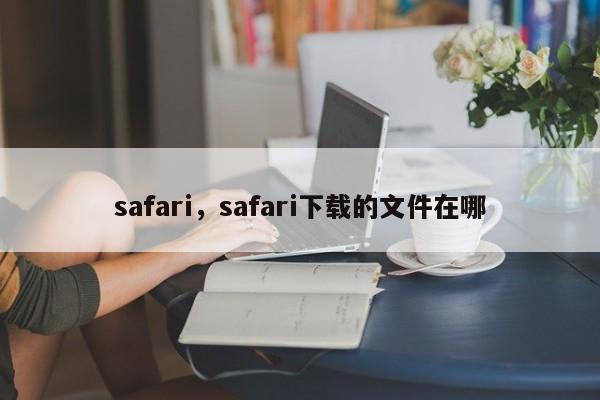 safari，safari下载的文件在哪-第1张图片-天览电脑知识网